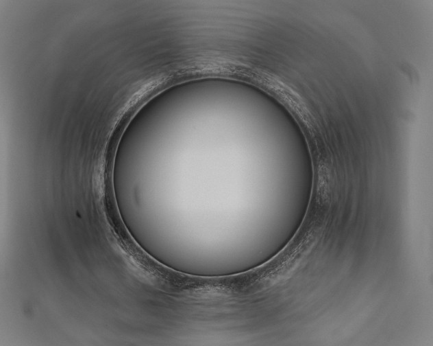 X0000112500578200908171311