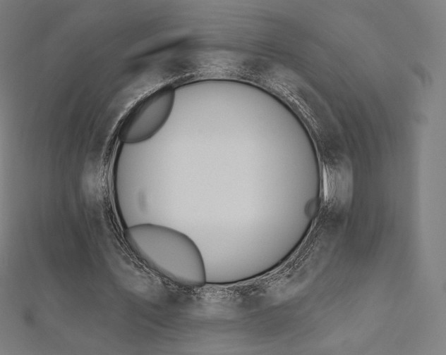 X0000112500579200908171311