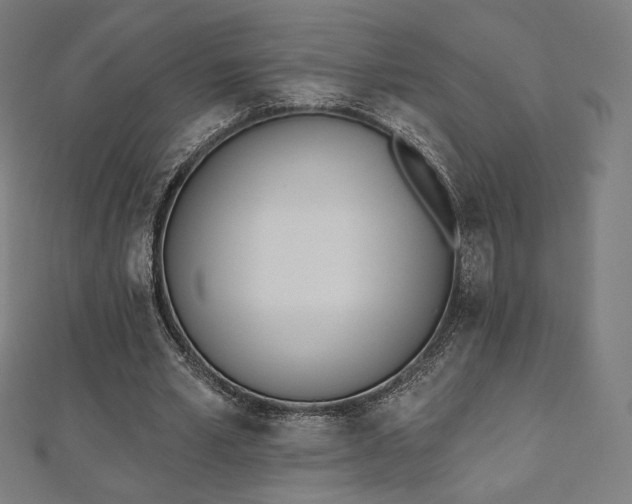 X0000112500581200908171311