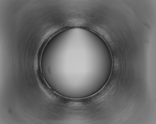 X0000112500582200908171311