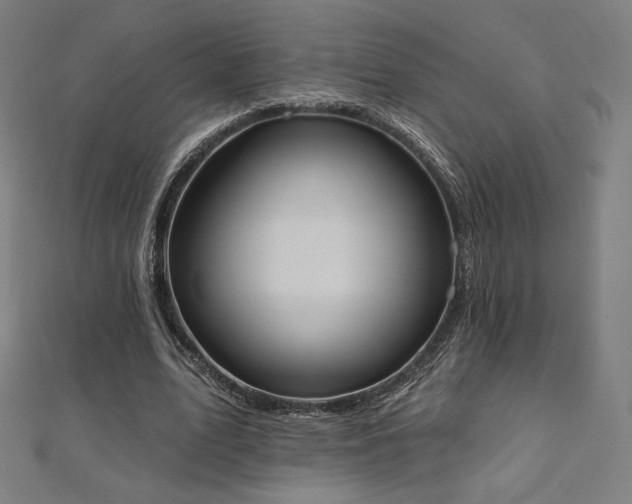 X0000112500583200908171311