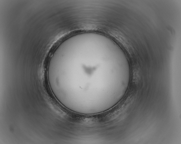 X0000112500584200908171311