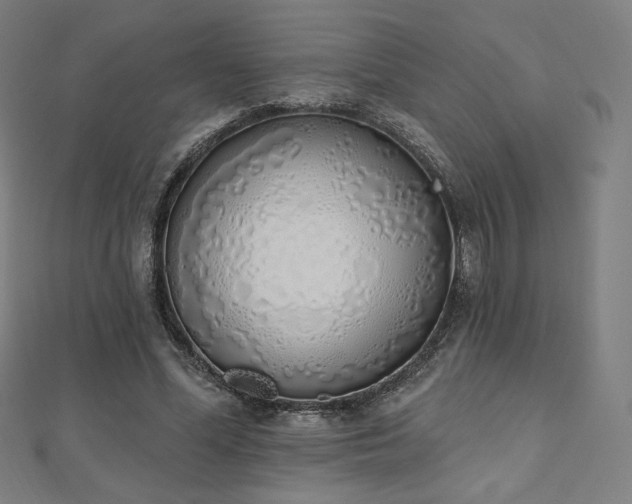 X0000112500588200908171311