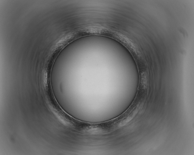 X0000112500589200908171311