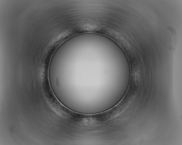 X0000112500591200908171311