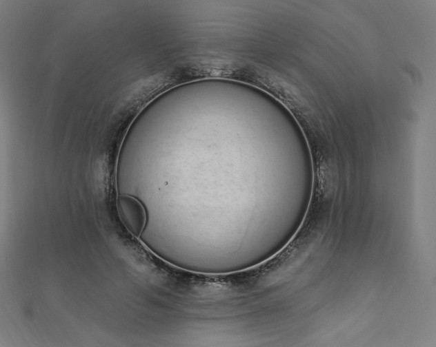 X0000112500594200908171311