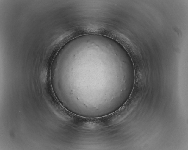 X0000112500596200908171311