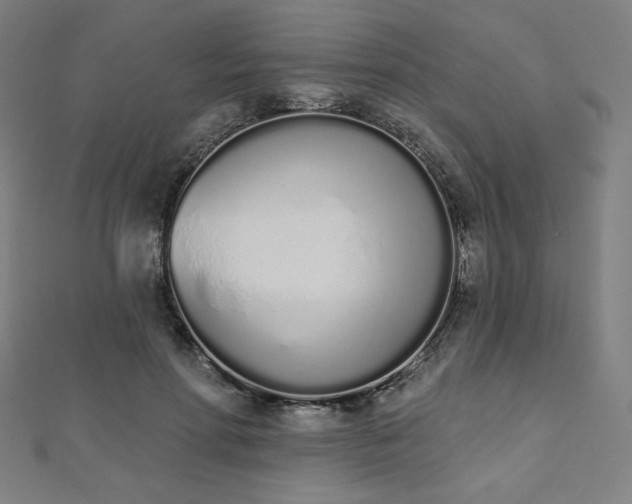 X0000112500598200908171311