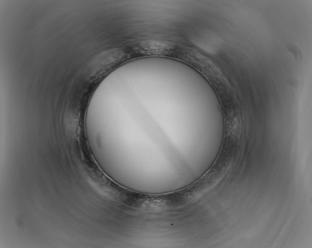 X0000112500599200908171311