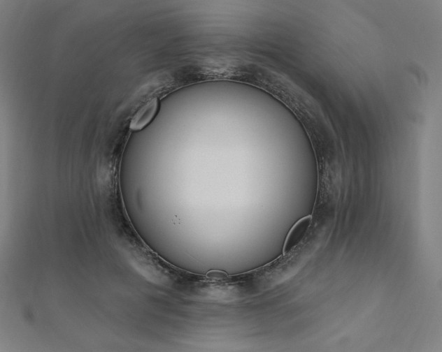 X0000112500601200908171311