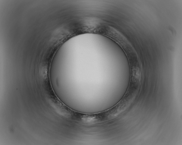 X0000112500602200908171311