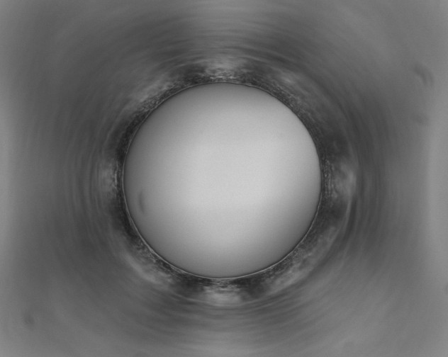 X0000112500603200908171311