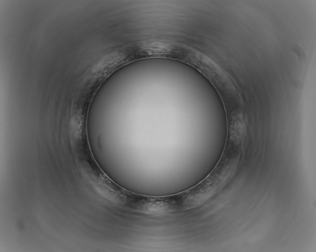 X0000112500604200908171311