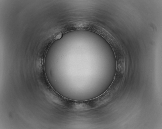 X0000112500605200908171311