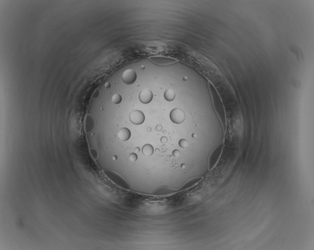 X0000112500606200908171311