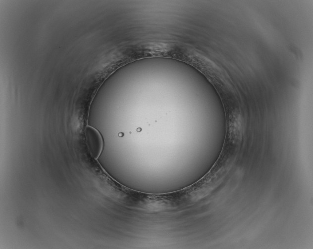 X0000112500608200908171311