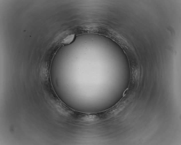 X0000112500609200908171311