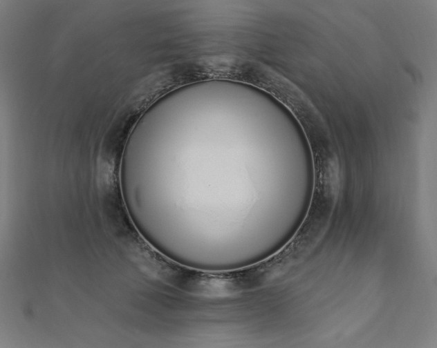 X0000112500610200908171311