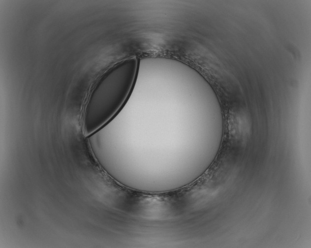 X0000112500611200908171311