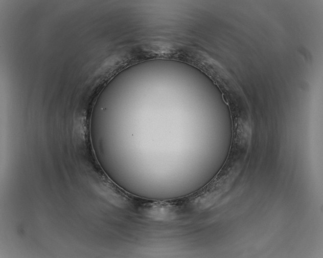 X0000112500612200908171311