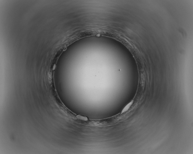 X0000112500613200908171311