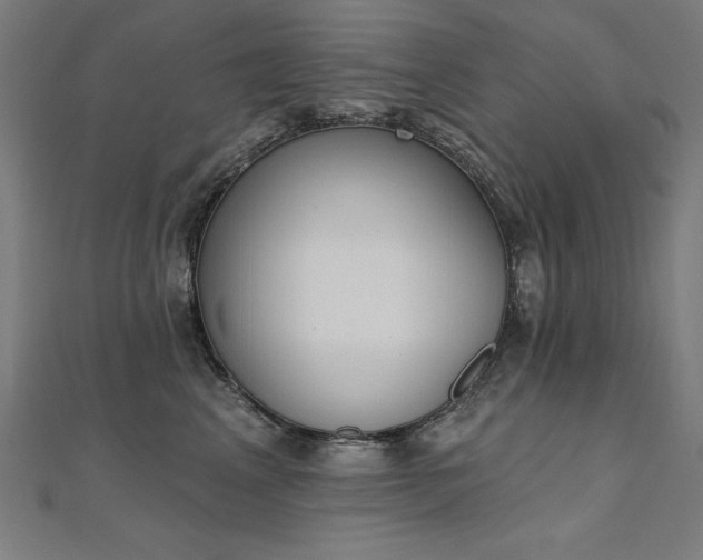 X0000112500617200908171311