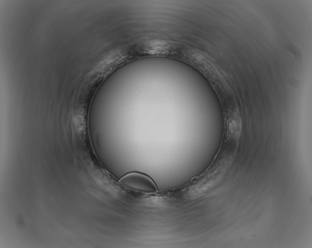 X0000112500620200908171311