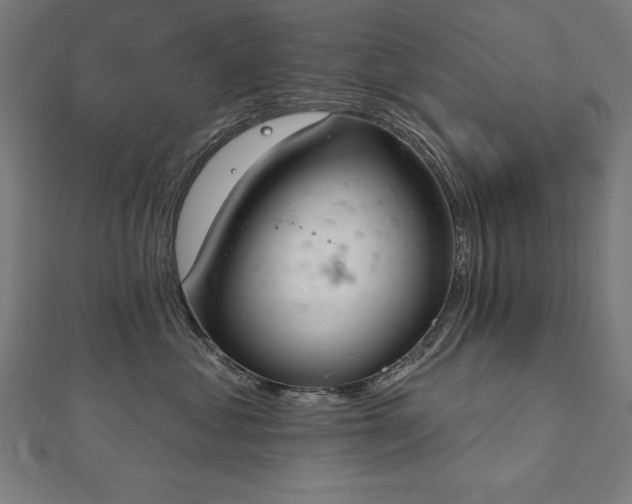 X0000112500621200908171311