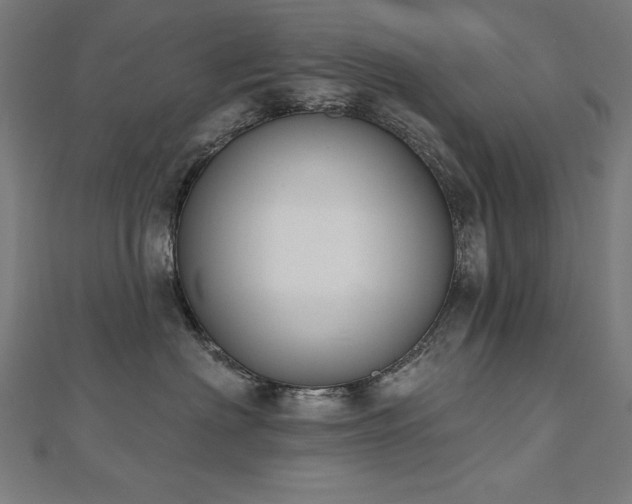 X0000112500622200908171311