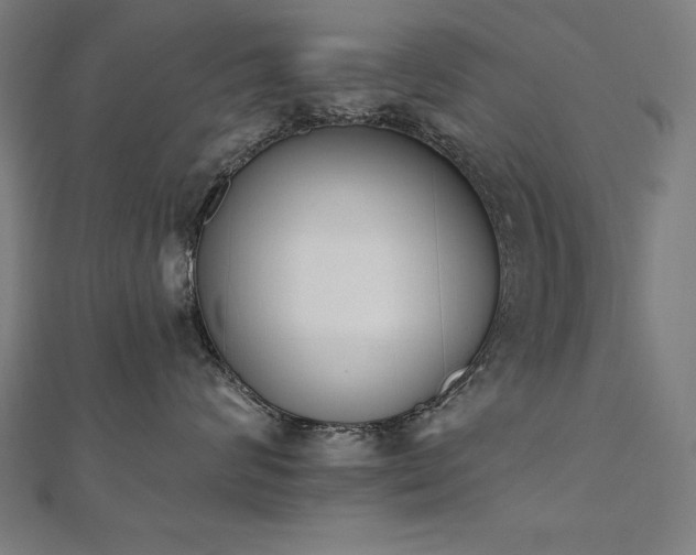 X0000112500624200908171311