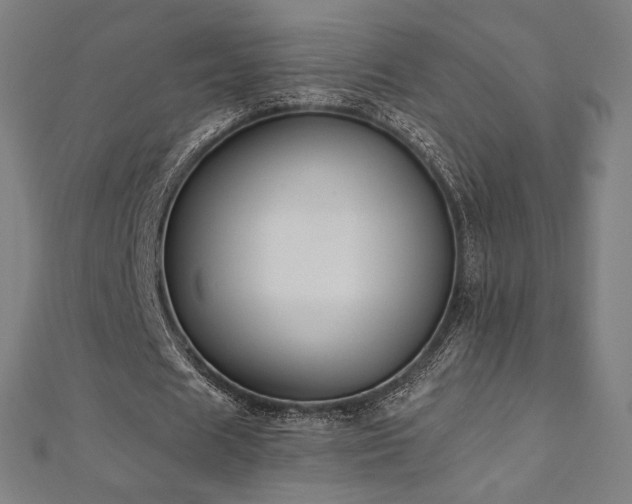 X0000112500625200908171310