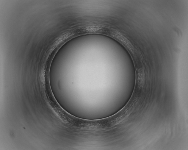 X0000112500626200908171310