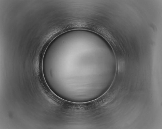 X0000112500627200908171310