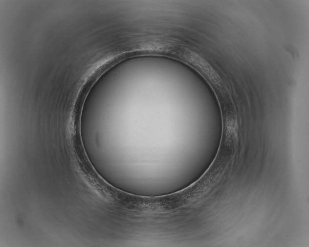 X0000112500628200908171310