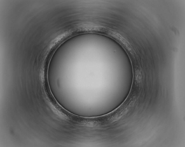 X0000112500629200908171310