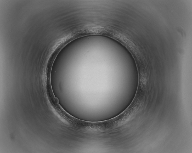 X0000112500630200908171310