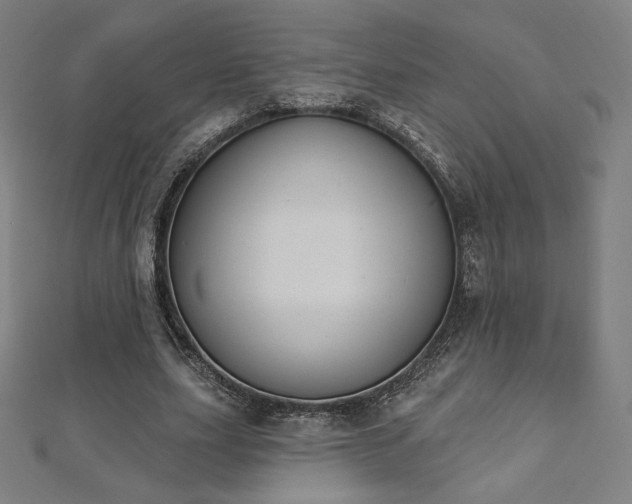 X0000112500631200908171310