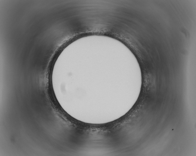 X0000112500632200908171310