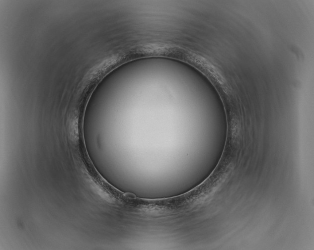 X0000112500633200908171310