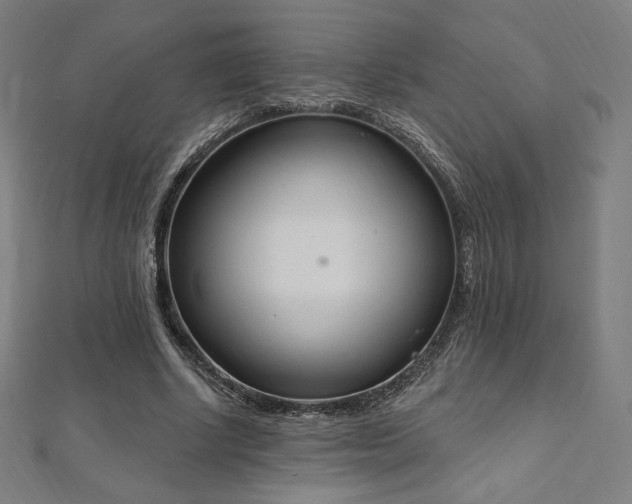 X0000112500634200908171310