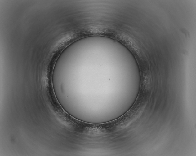 X0000112500635200908171310