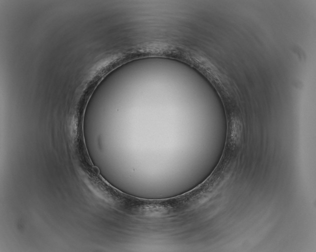 X0000112500636200908171310