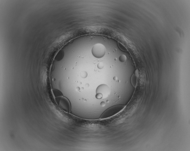 X0000112500637200908171310