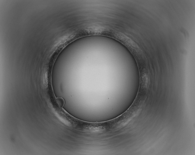 X0000112500638200908171310