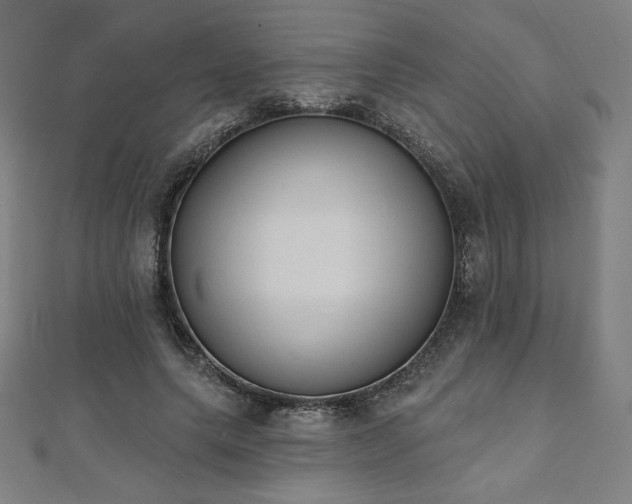 X0000112500639200908171310