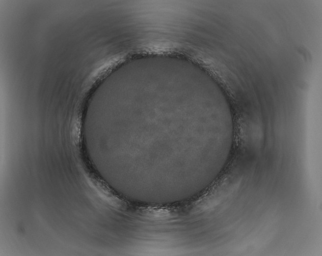 X0000112500640200908171310