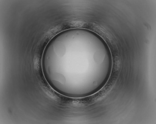 X0000112500641200908171310