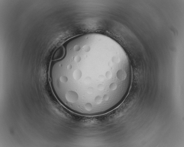 X0000112500642200908171310