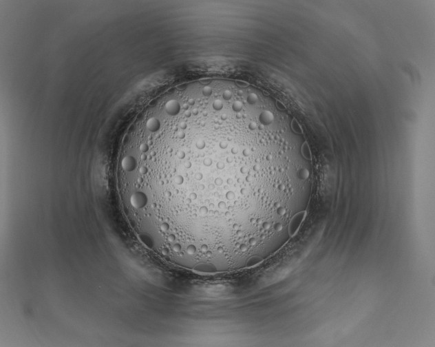 X0000112500643200908171310