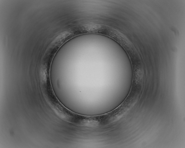 X0000112500644200908171310